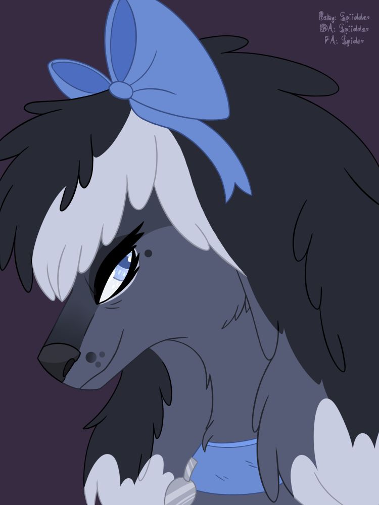 Headshot of a poodle/ afghan mix dog character. It has a blue bow tie on its head, a blue collar with a silver dog tag on it. Its fur is shades of white, black and gray. Its head fluff segues into its ears.