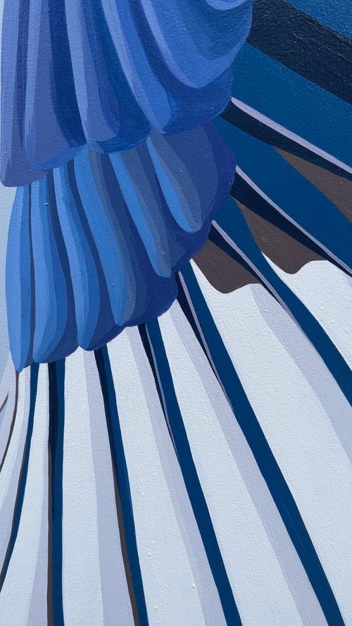 Close up of a magpie wing. 