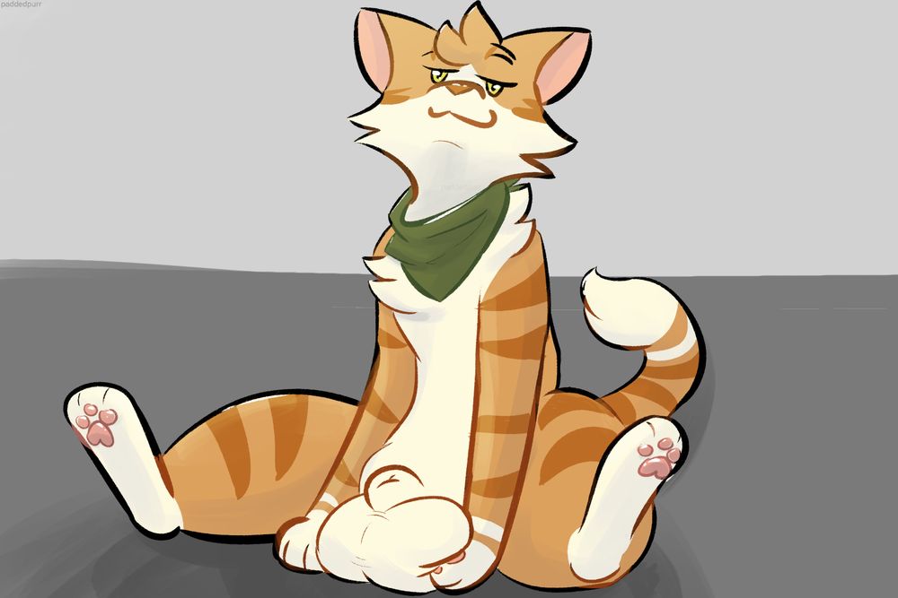 orange cat looking at viewer suggestively while fondling his own balls
