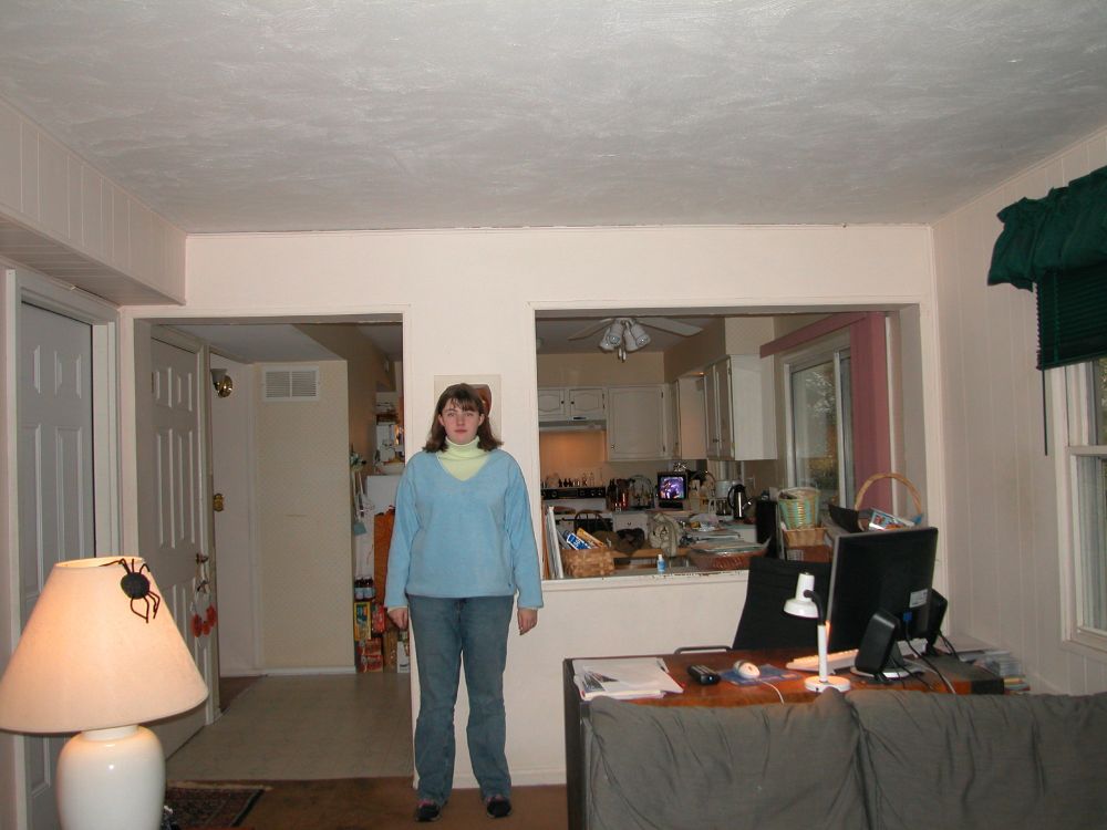 I am standing like I'm in a police photo, in my parents living room. I am wearing... a key lime green turtleneck and a shapeless baby blue sweater. The color scheme of all the decor is insane and all the technology is pre-2010