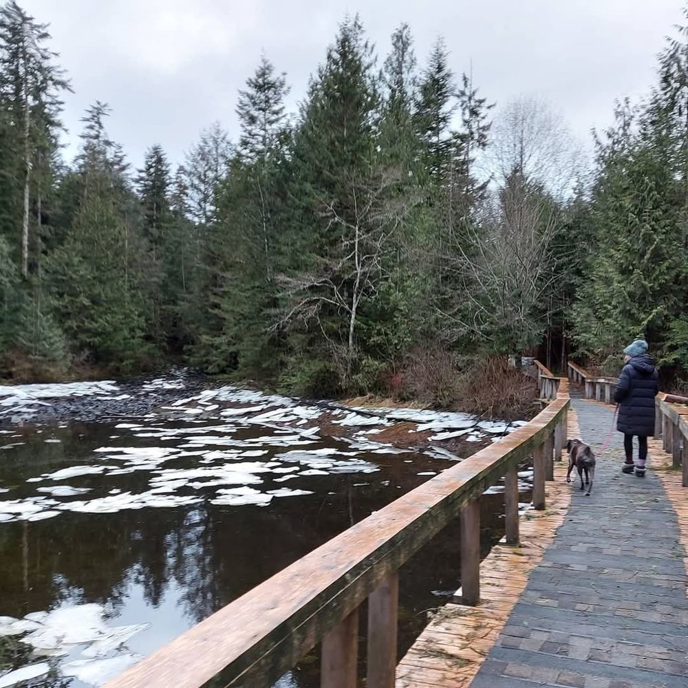 My beautiful wife chilling on the boardwalk at Old Towns. Bella Bella is beautiful in the winter.