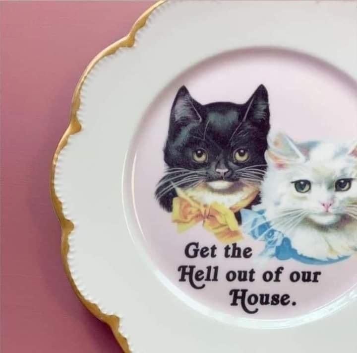 a vintage plate with a black and a white cat on it that reads: get the hell out of our house. 