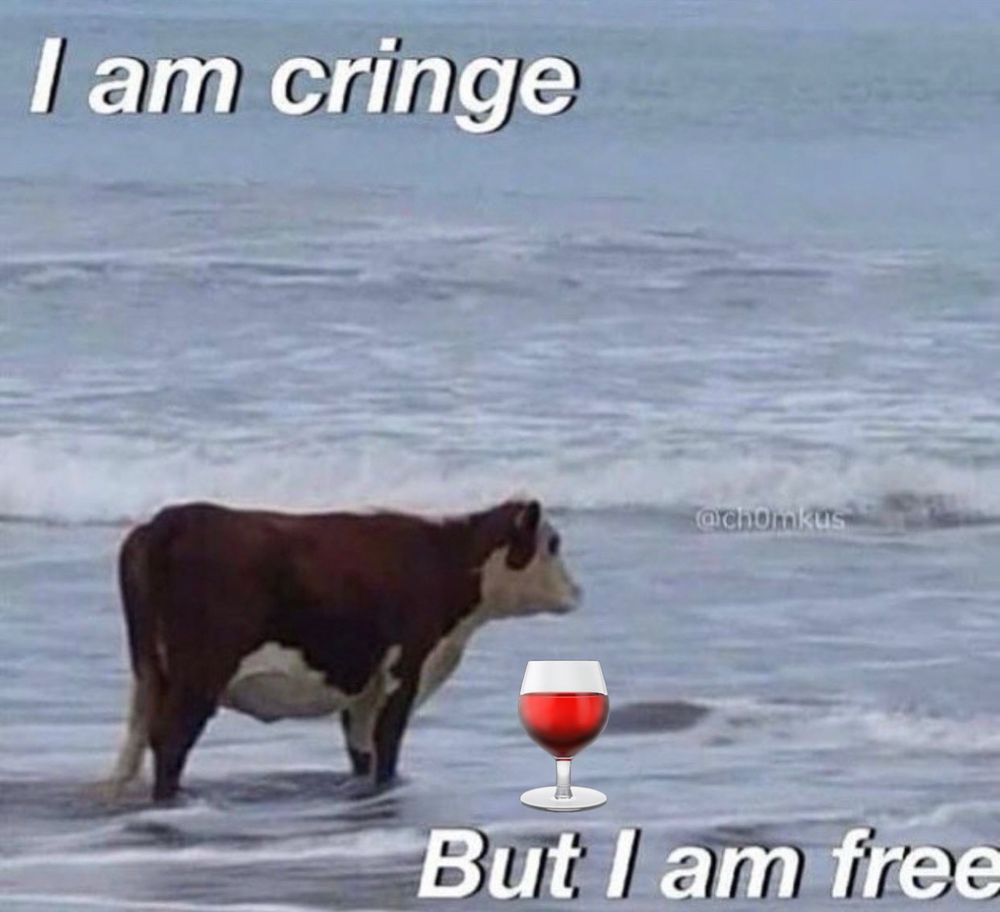cow standing in the ocean on the beach βi am cringe but i am freeβ also with a wine glass