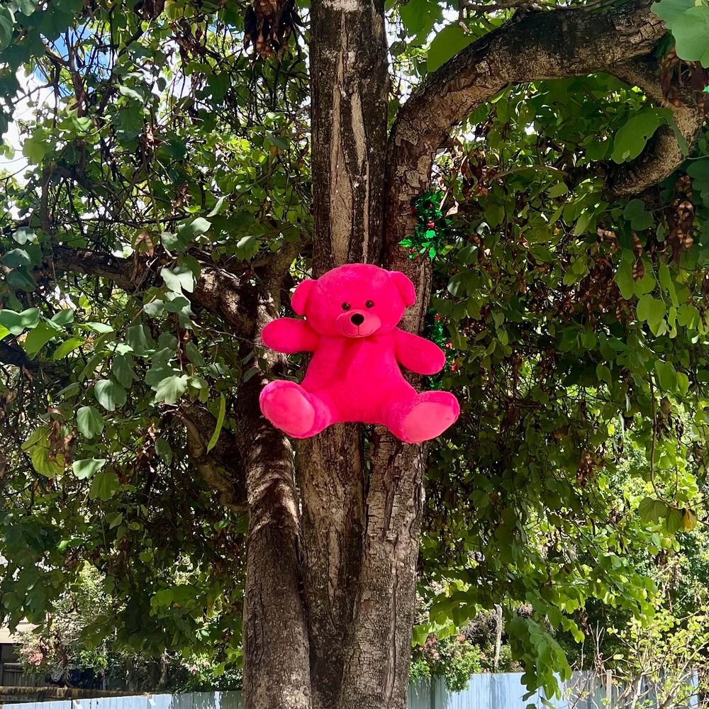 A photo of a pink teddy bear hanging from a tree with holiday decorations.