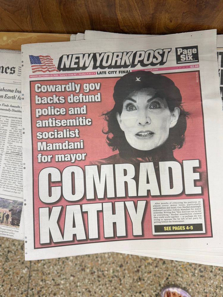 cover of the NY POST: COMRADE KATHY