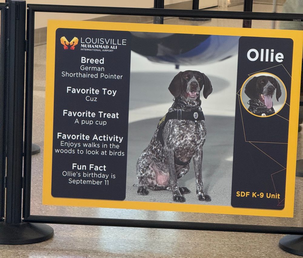 photo of a K9 squad dog at the airport named ollie. fun fact: ollie’s birthday is september 11. 