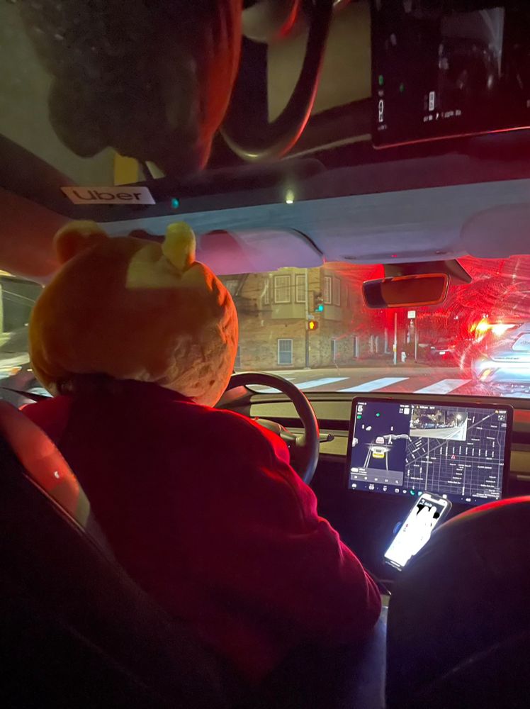an uber driving wearing an off brand winnie the pooh costume