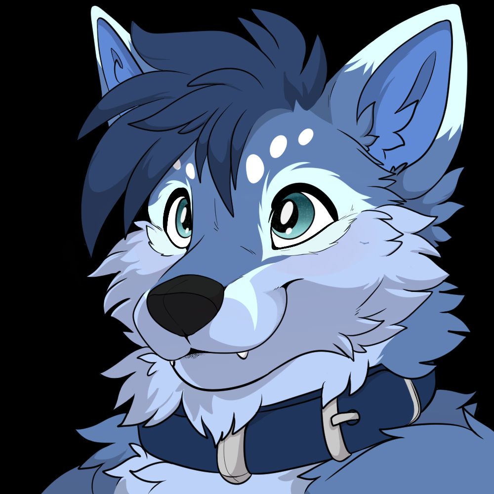 Digital headshot drawing of an anthropomorphic furry fox character with dark blue hair and a mix of lighter and darker blue fur, looking in front of them contently while wearing a dark blue collar.