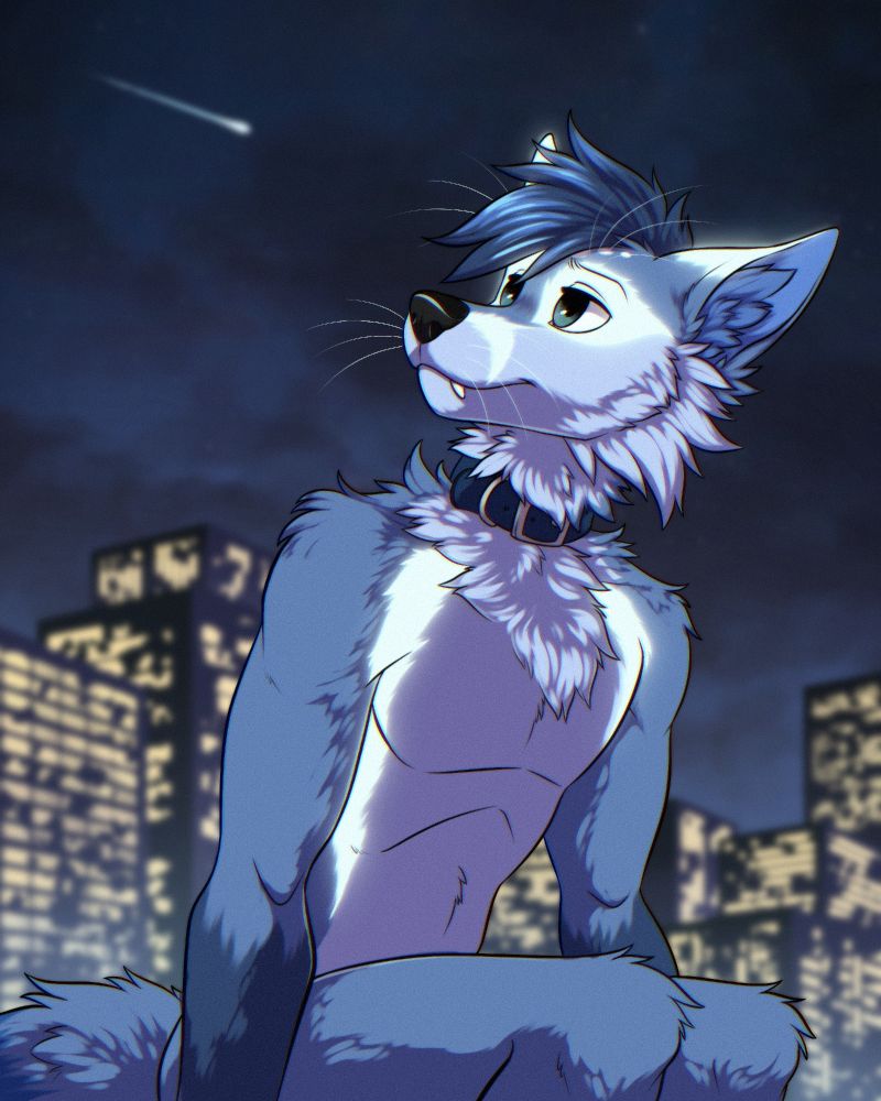 Digital artwork of an blue anthropomorphic furry fox character sitting on something off-screen while contently looking up and to the right at the night sky. The background contains tall buildings with lights shining through the windows, some clouds, and a shooting star.