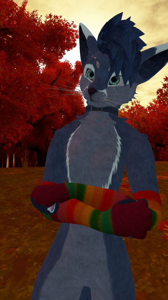 In-game photo of a fox-like anthropomorphic VRChat avatar with cyan eyes, dark blue hair, blue fur mixed with light blue markings around the eyes, on the muzzle and across the chest, and pink paw pads. The character is wearing a dark blue collar and rainbow-striped arm warmers. They are looking forward with a neutral expression while crossing their arms. The background contains an autumn scene with trees whose leaves are orange, with some leaves scattered around the ground, set in front of a bright yellow sky.