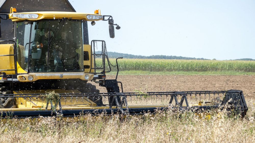 Klimawandel: Treibhausgase in der Landwirtschaft