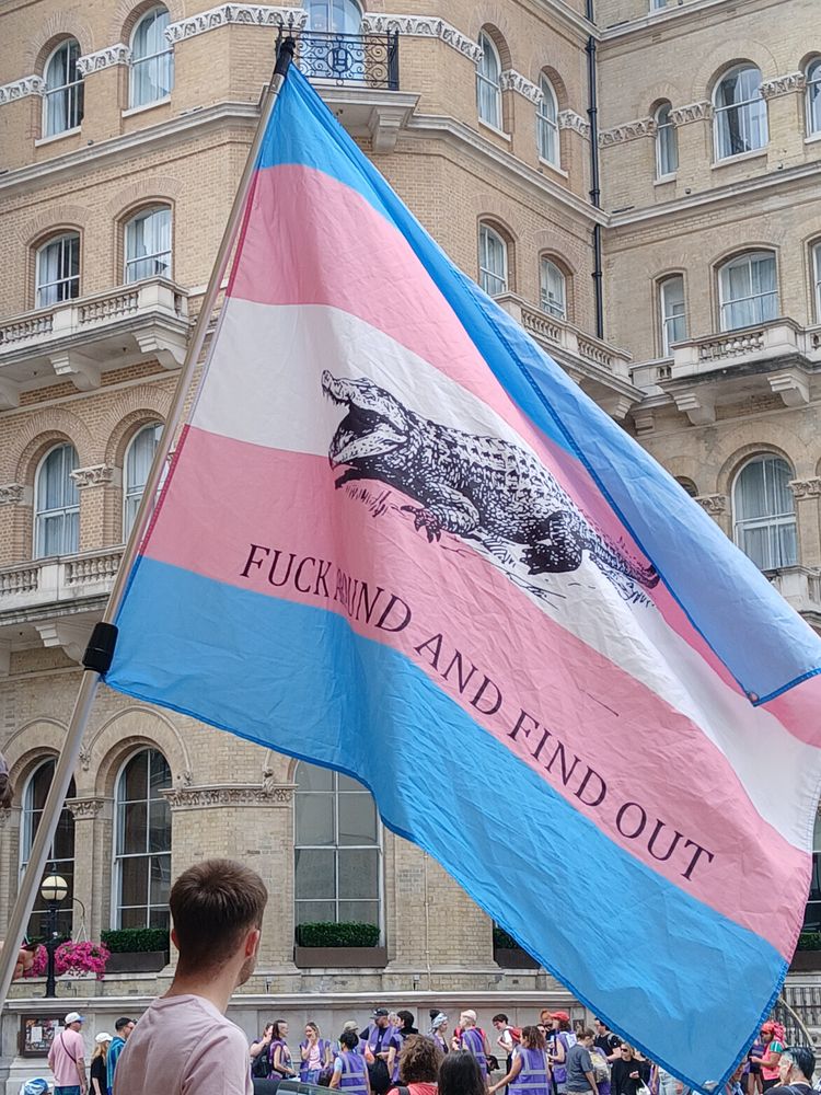 Trans flag with a picture of an alligator and the words 'fuck around and find out'