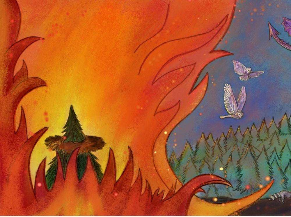 Wildfire illustration 