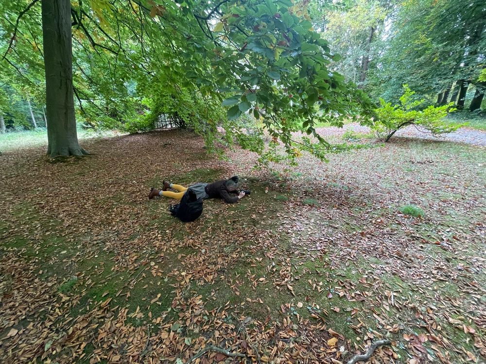 Ik lig plat op m’n buik tussen herfstbladeren, voor m’n neus een camera en een kudde paddenstoelen 