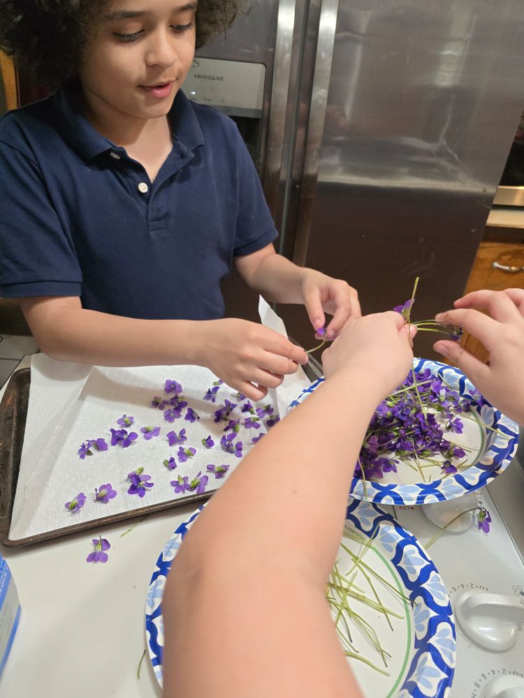 2 children picking purple flowers stems off in a kitchen 