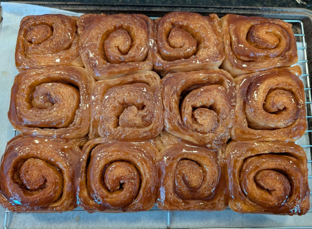 A dozen homemade sticky buns with maple syrup caramel glaze cooling on a sheet pan lined with parchment paper 