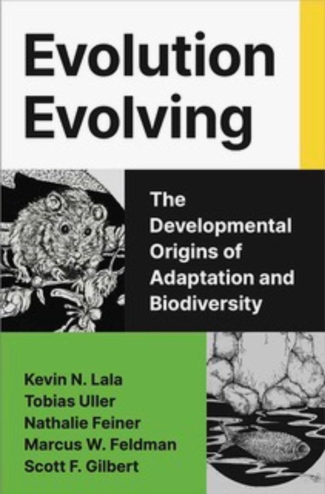 Philosophy in ‘Evolution Evolving’ - Dialectical Systems