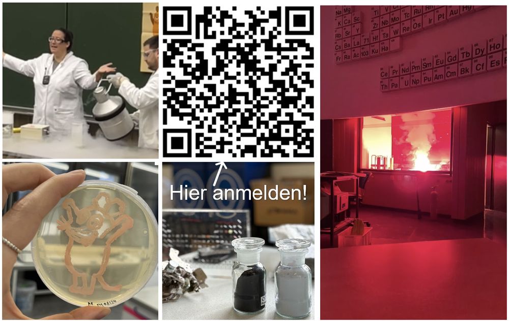 Picture collage. In the center a QR code, that leads to a Webseite also linked in the text. In the right a fine hood with bright red fire is seen, below a periodic table. On the left an agar plat with bacteria growing in the form of a mouse. Upper left photo of two people in labcoats playing with liquid nitrogen. 