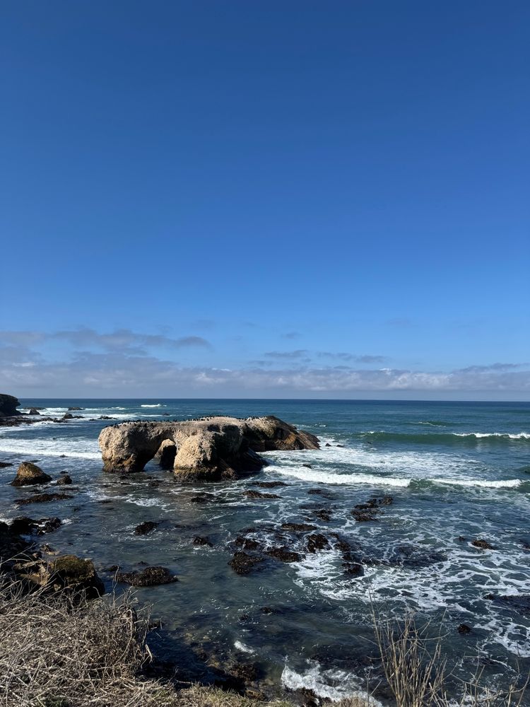 Photo of the Pacific Ocean with some rock formations near the beach, Point Buchon trail