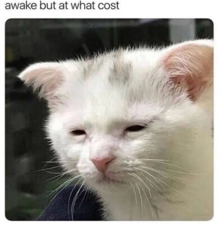 Sleepy cat with the caption “Awake but at what cost”