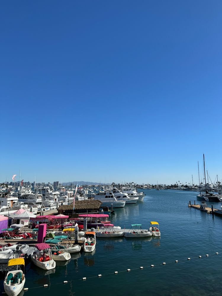 The view from Point Loma Seafoods in San Diego
