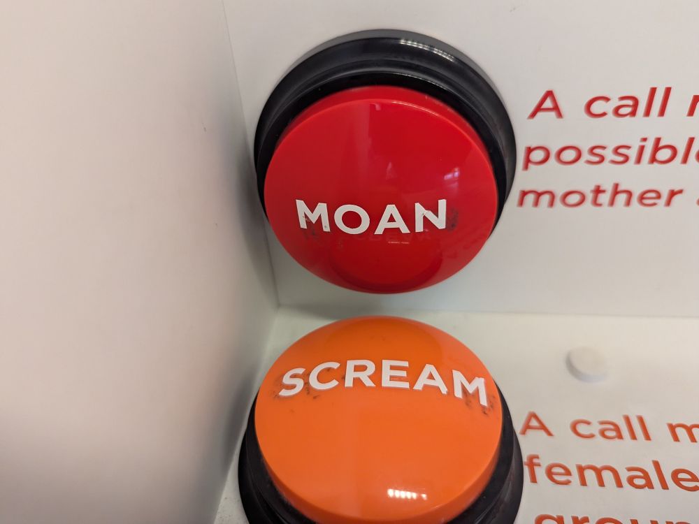 Brightly colored sound buttons labeled "moan" and "scream". 