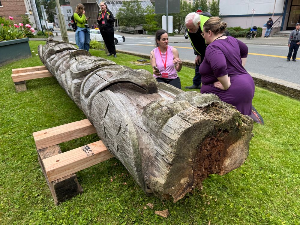 Museum conservators kneel next to a totem pole laying on the ground as they take initial Stock of the pole’s condition before beginning a restoration project