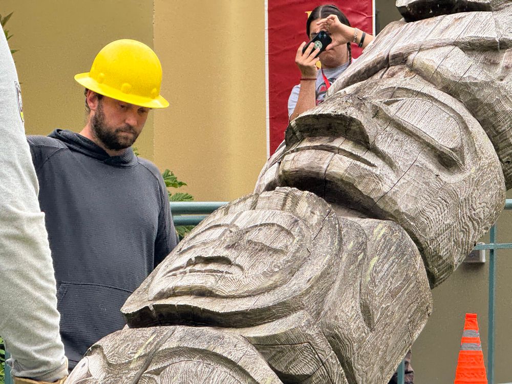 An employee of Alaska, electric light and power helps gently lower a totem pole to the ground while behind him, a spectator takes a picture of the scene