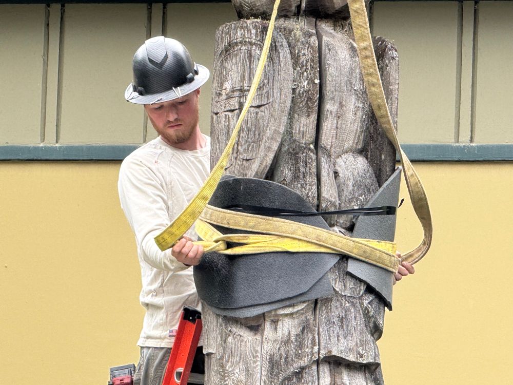 An employee of Alaska electric light and power attaches a lifting harness to a totem pole