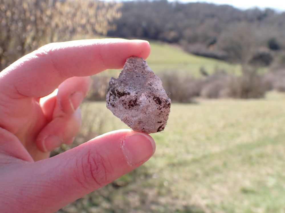 A white chalk pebble from the path 
