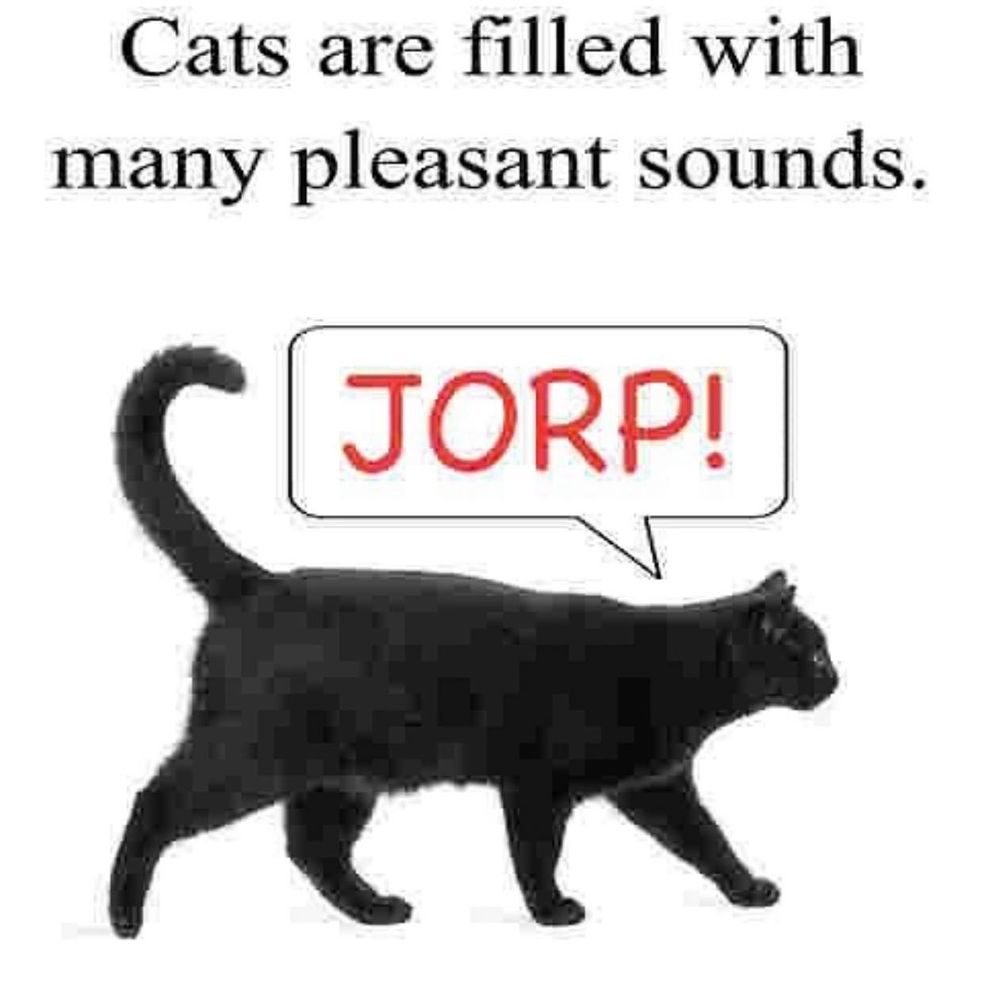 cats are filled with many pleasant sounds
image of a cat with a speech bubble saying "Jorp!" 