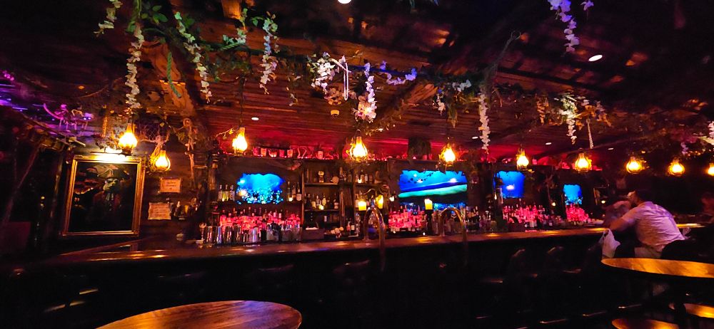 An image of the inside of a bar themed to a a tropical paradise with pirates.
