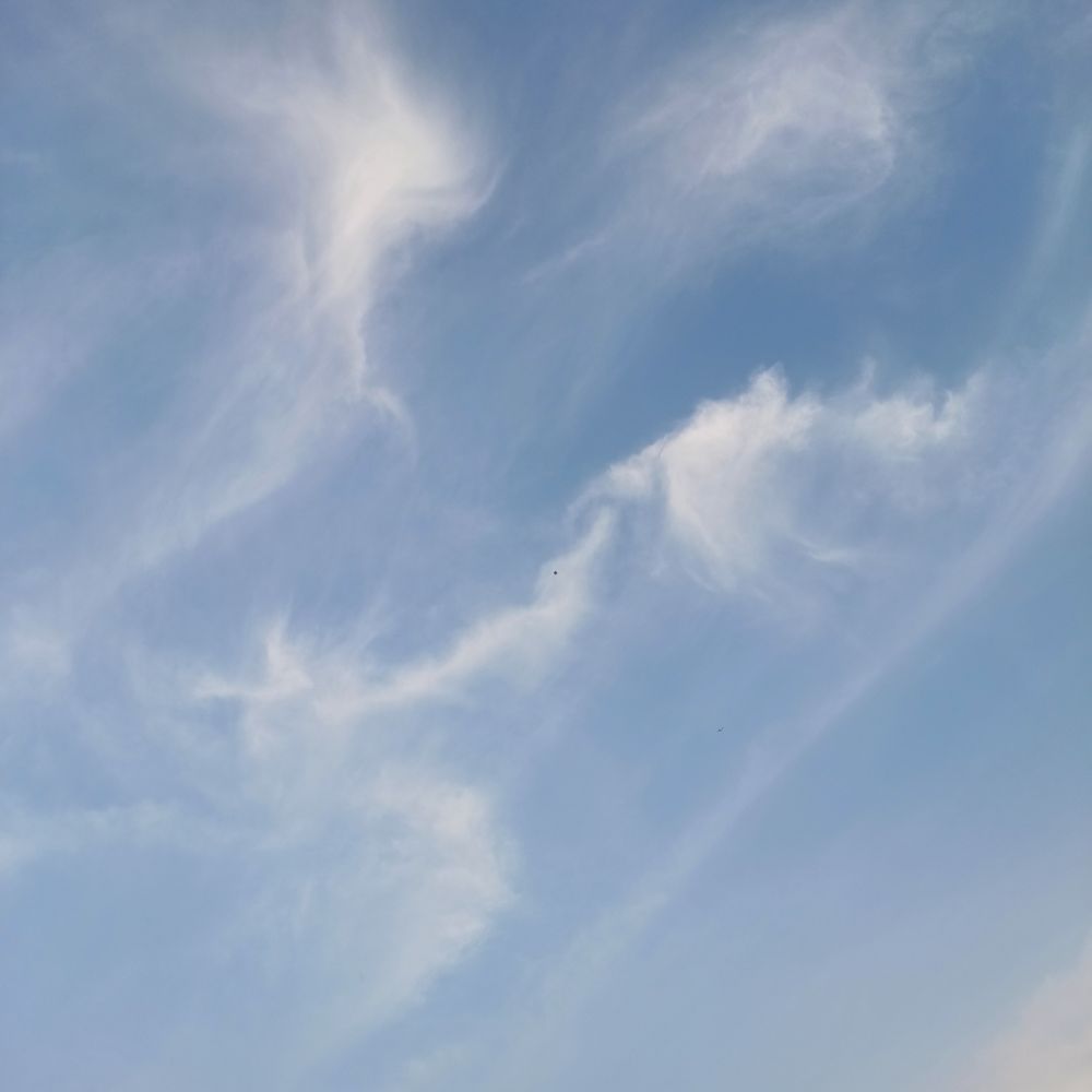Bluesky, white clouds, and a kite.