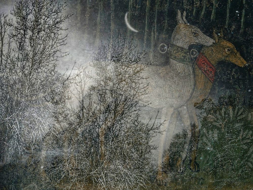 A photo collage of several tree, moon, and landscape photos I took with a medieval etching of two dogs layered in to appear like they are ghosts. The colors are muted. Photos and image editing by me 