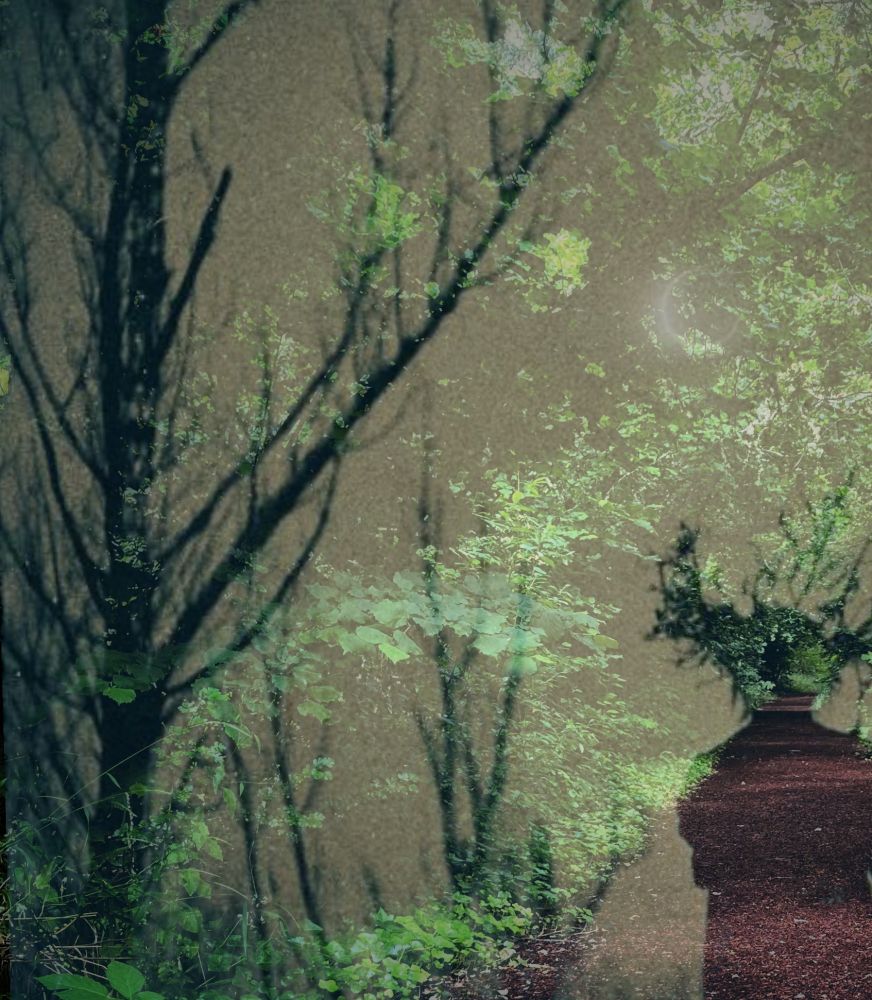 A multi exposure image of a brown pathway with trees and a human figure. 