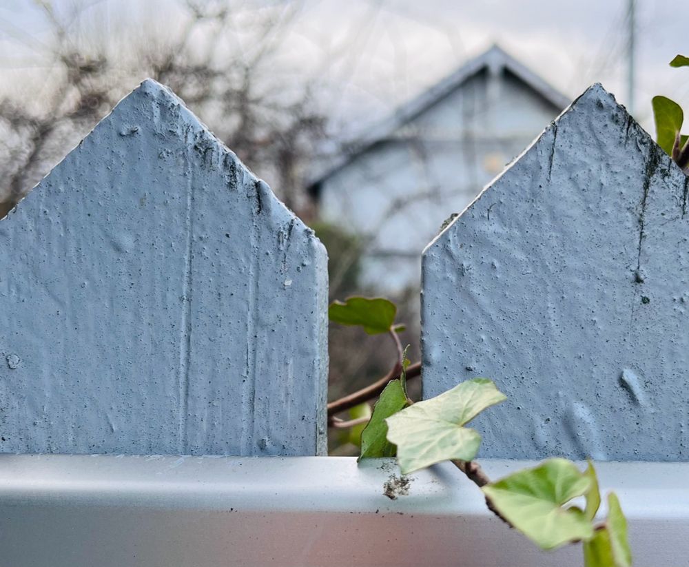 Top of grey/white triangular point fence on railway station platform. A building in the background echoes the form. A strand of ivy threads through the space between.