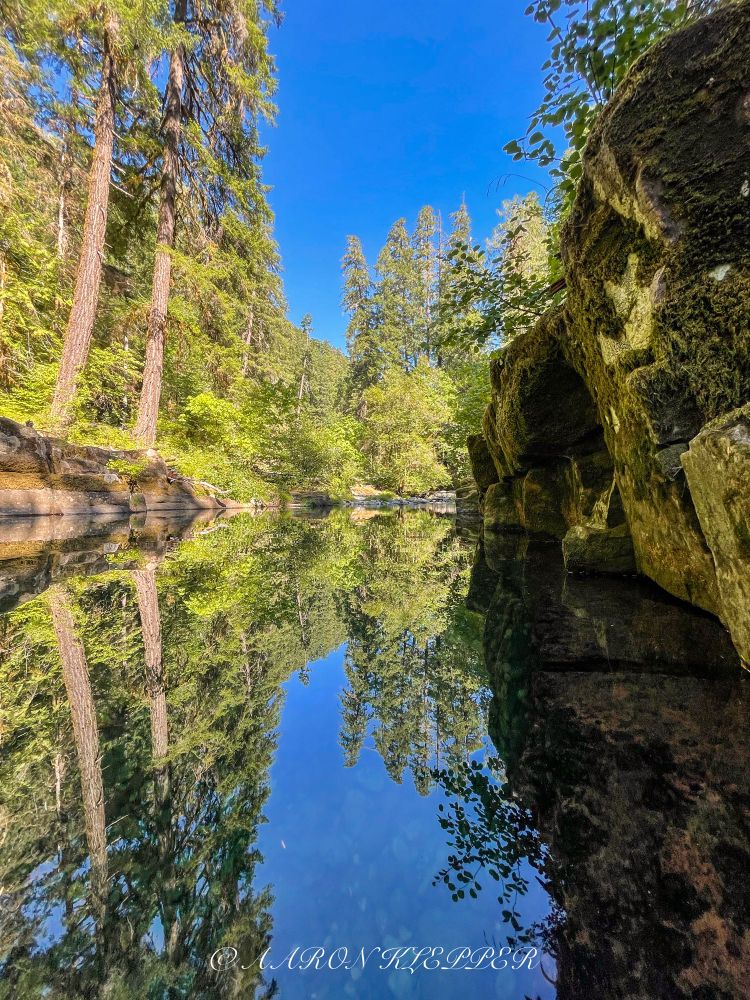A creek in Oregon with the sky and trees and blue sky reflecting off the water.  