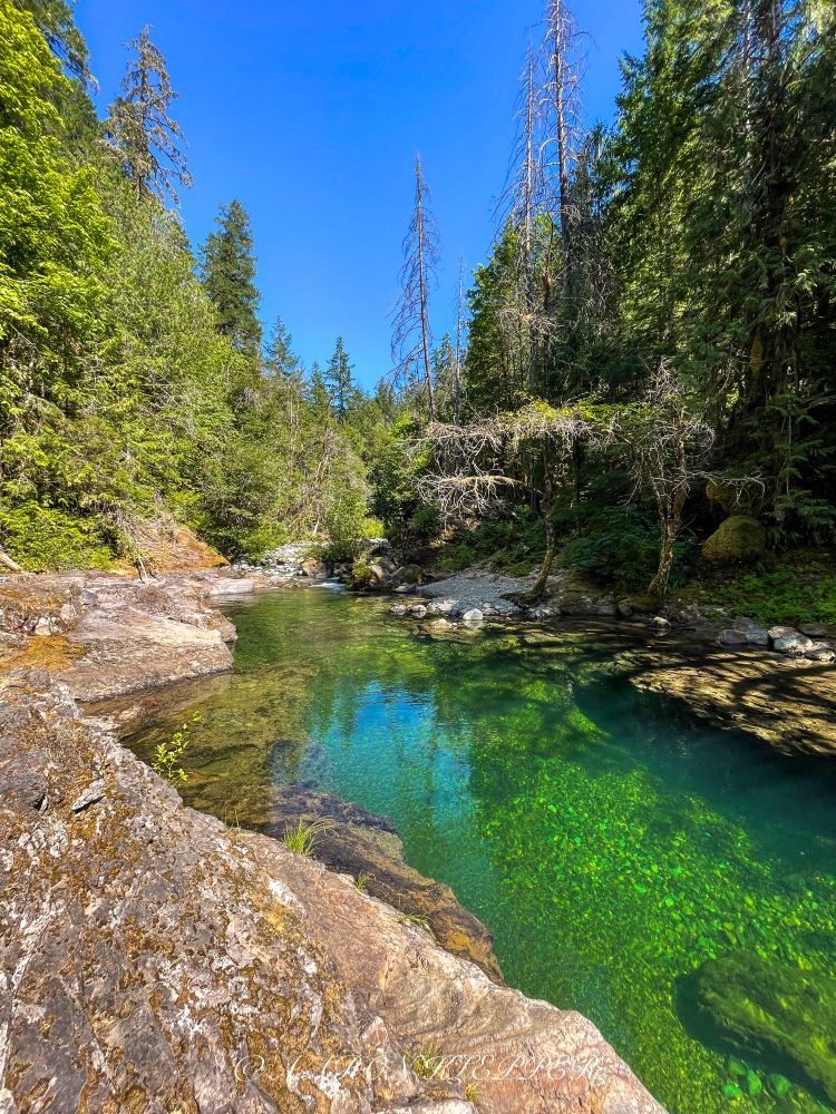 A clear green colored creek under a blue sky.  