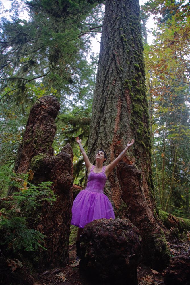 Photo of Jen from September 2019 in cathedral grove on Vancouver island. She is wearing a purple fairy dress, standing amongst old growth trees and holding her arms up to the sky.