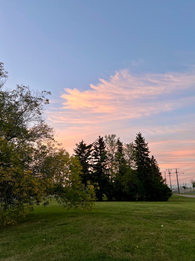Photo of a sunset over trees and a vacant lot.