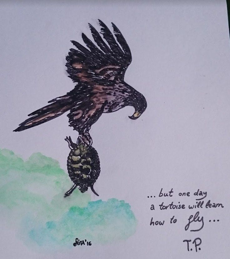 Un dibujo a tinta y acuarela de un águila y una tortuga con el texto "...but one day a tortoise will learn how to fly..."