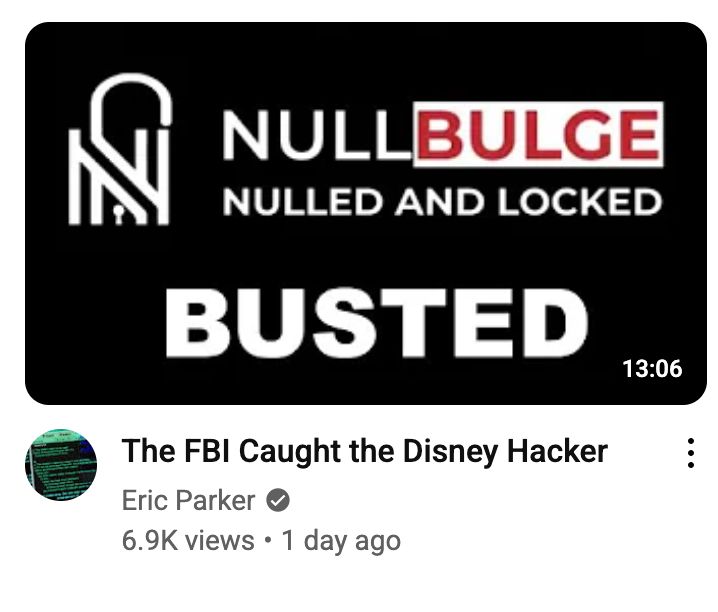 thumbnail for an eric parker video that says “null bulge/nulled and locked/busted”
