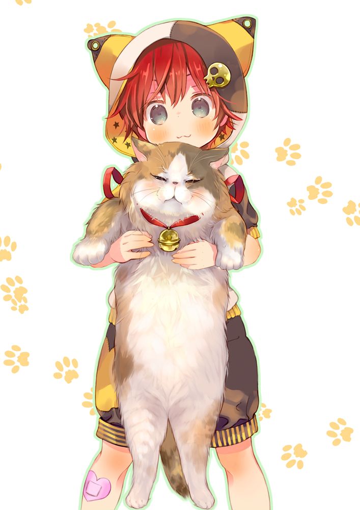 ぶさねこさんの絵