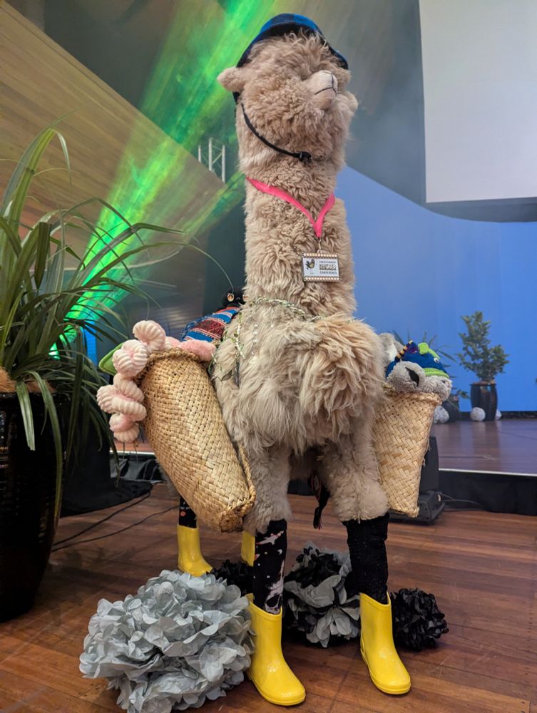 Stuffed llama in camping gear