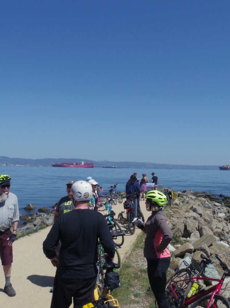 about 10 people standing with their bikes chatting at the tip of herons head park enjoying the phenominal weather