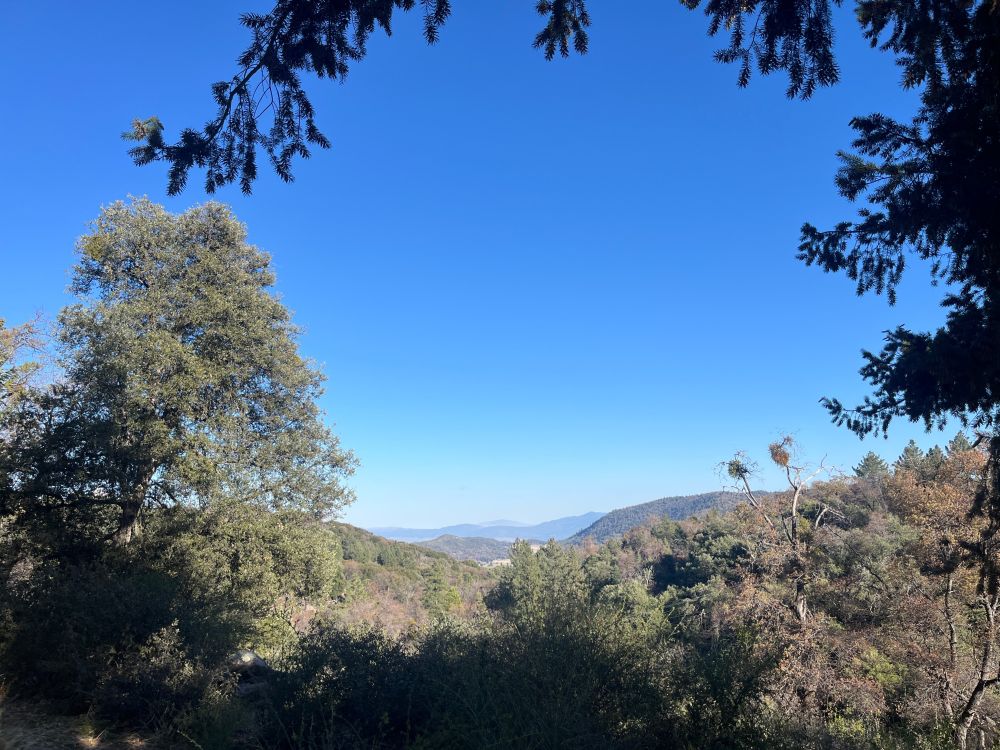 A vista of the Peninsular Ranges in northern San Diego County near Palomar Mountain, an oak woodland is in the foreground.