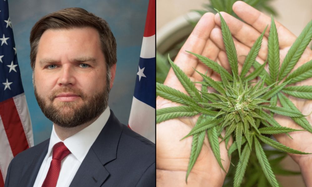 JD Vance Says 'Bags Of Marijuana' And Candy Laced With THC And Fentanyl Are Coming Across The Border, Blaming Biden-Harris Immigration Policy - Marijuana Moment