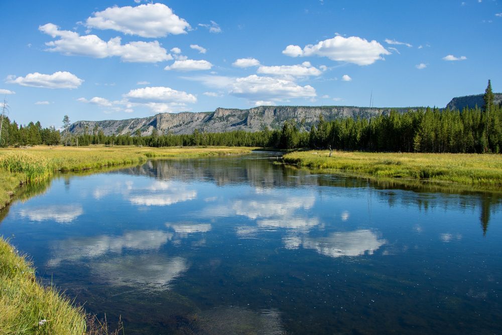 Reflections on the Madison River, Yellowstone National Park