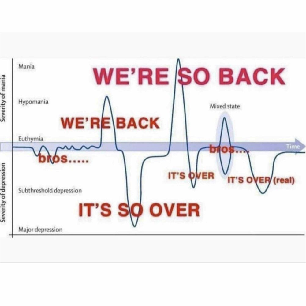 Imagem de um eletrocardiograma com cada pico alternando entre as frases we are so back e its so over