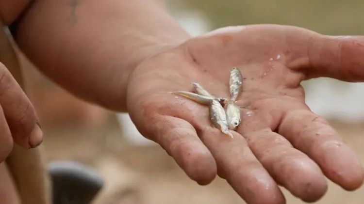 na foto uma mão segura mini peixes pescados pela vagina da participante do reality